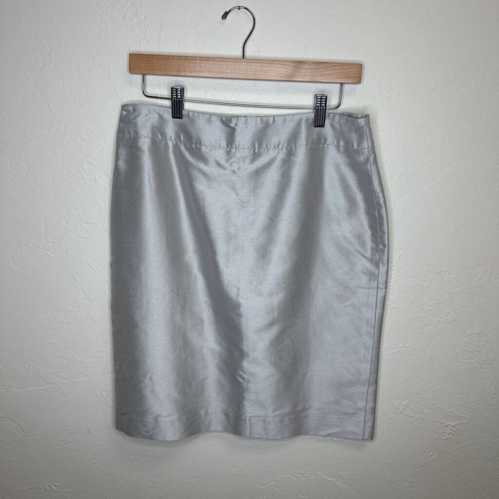 silver skirt