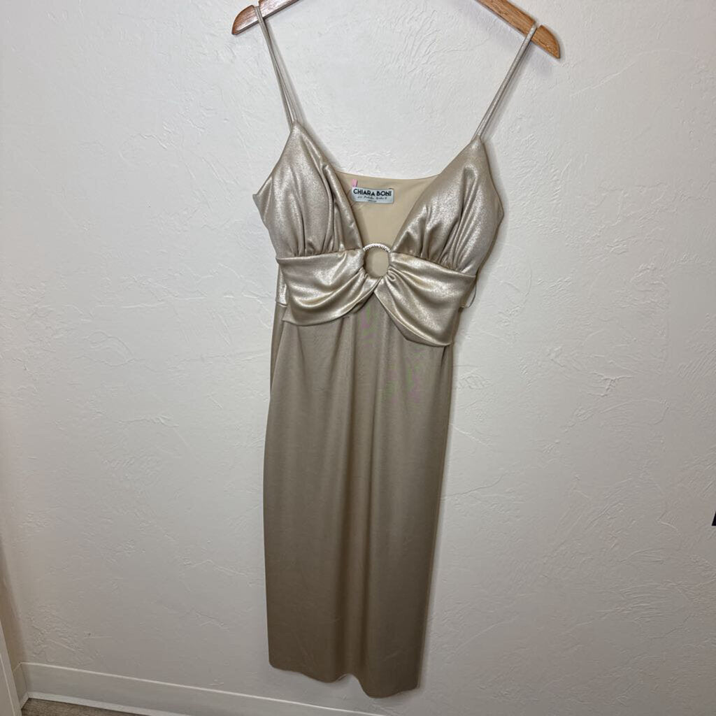 Champagne Cocktail Dress NWT