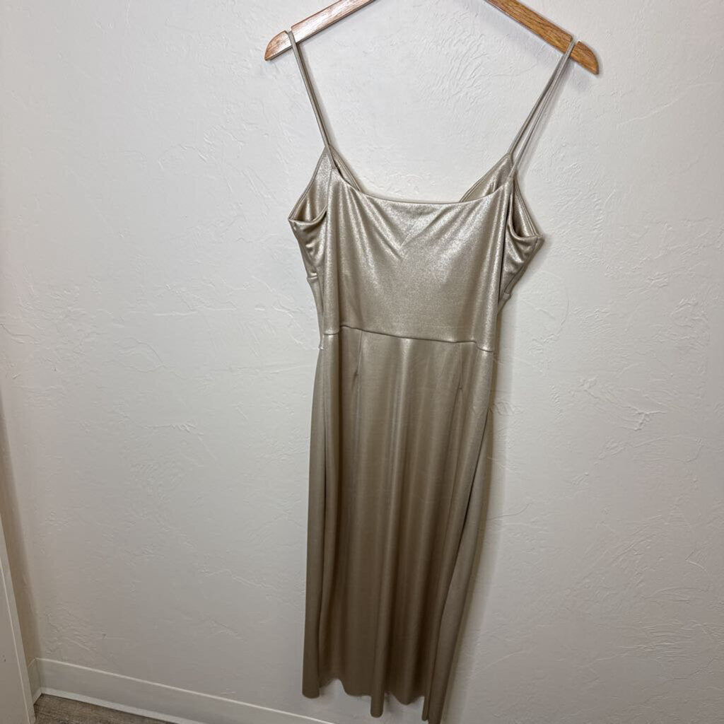 Champagne Cocktail Dress NWT
