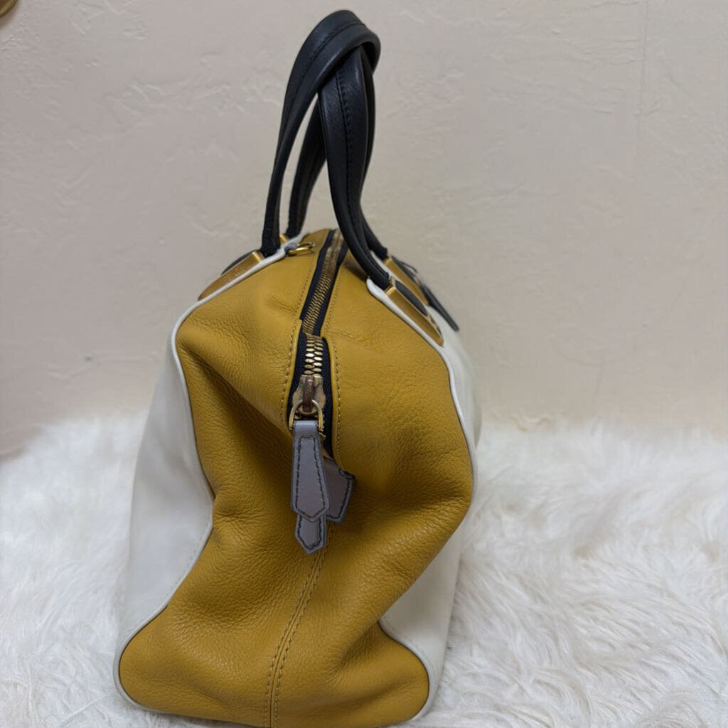 Cameleon Handbag