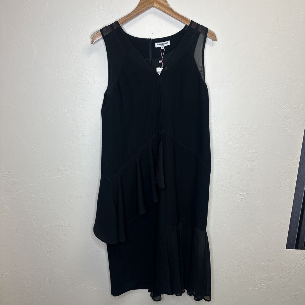 black ruffle dress