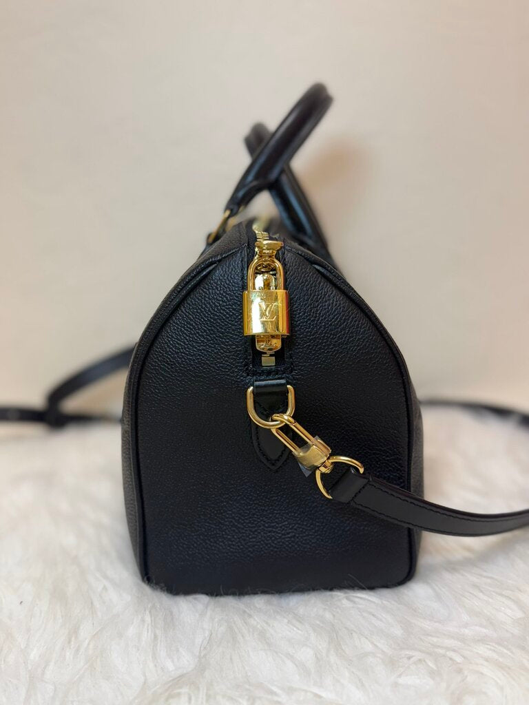 Louis Vuitton Black Handbag