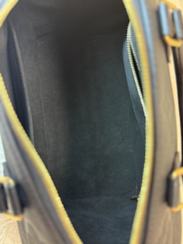 Louis Vuitton Black Handbag
