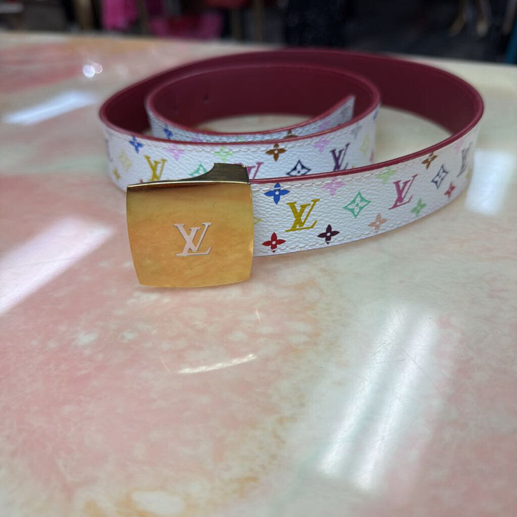 Louis Vuitton Multicolor Belt