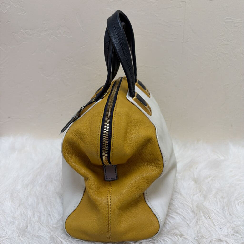 Cameleon Handbag