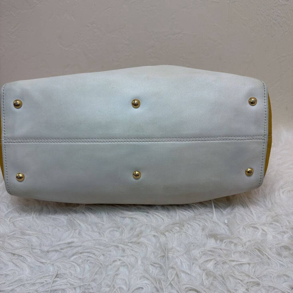Cameleon Handbag