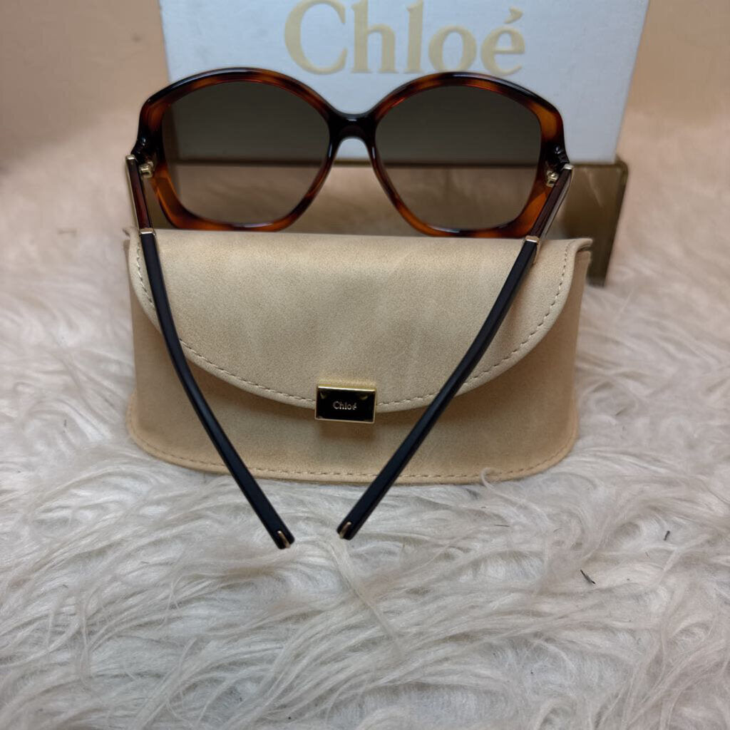 Square Dark Tortoise (Case and Box)