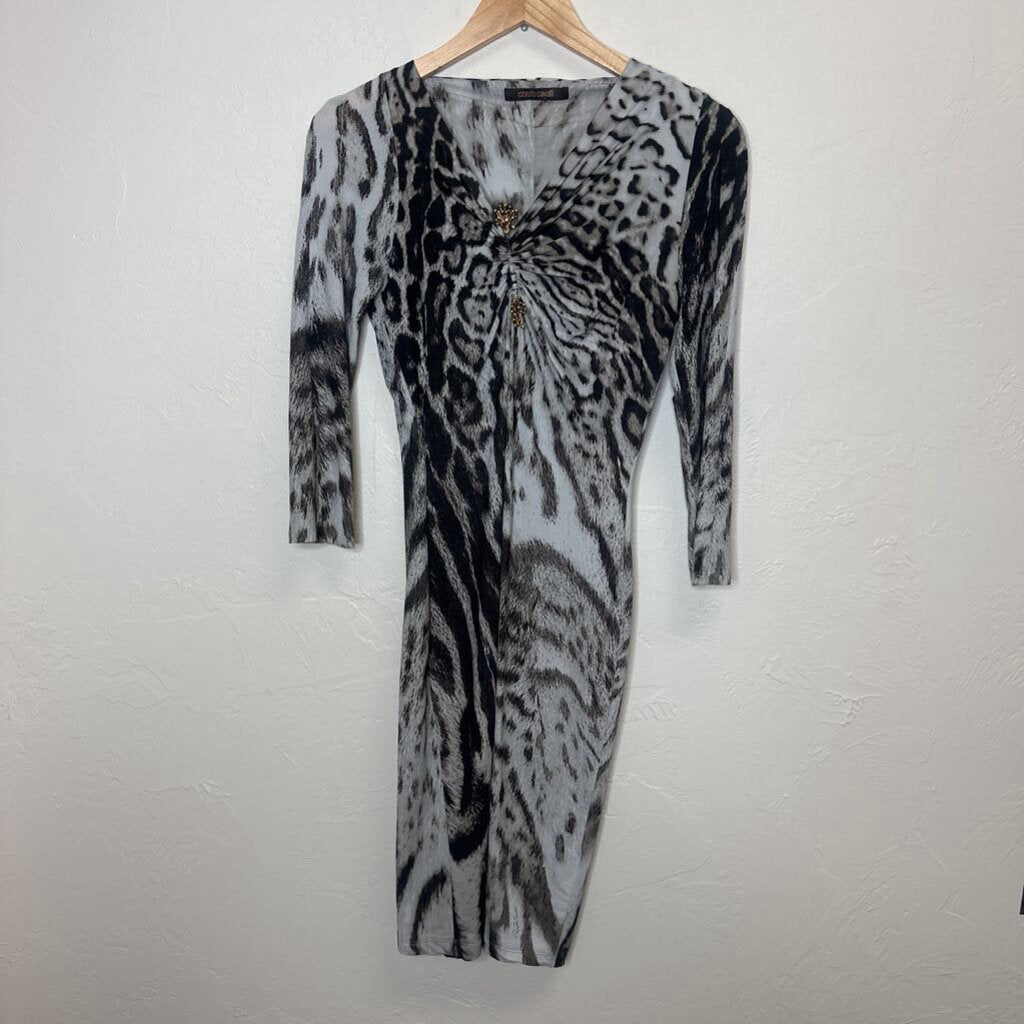 Animal Print Midi Dress