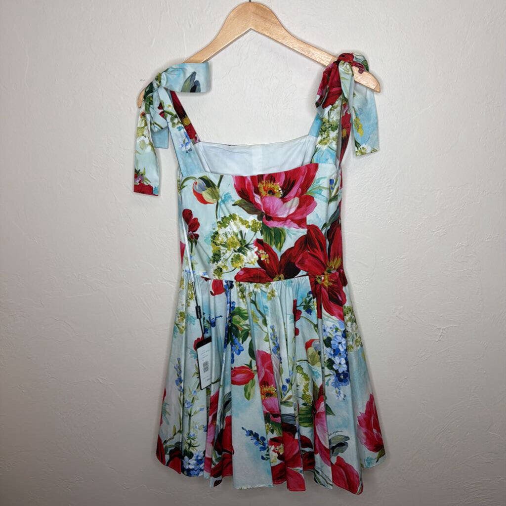Multicolor Floral Mini Sun Dress
