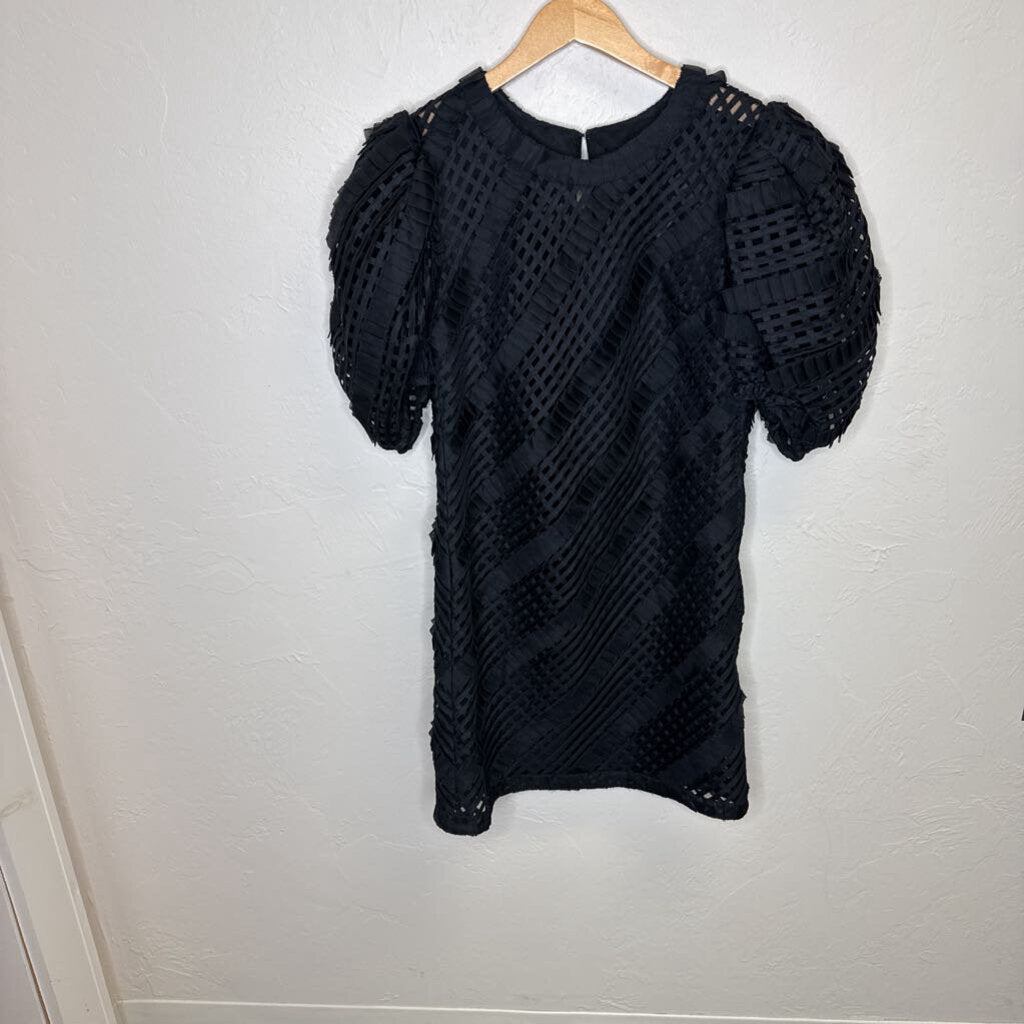 Grid Textured Mesh Puff Sleeve Dress